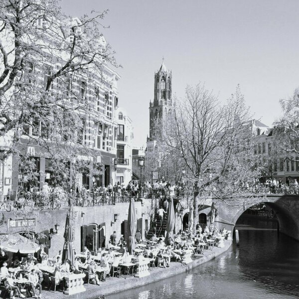 netherlands-1424996_1920 (1).jpg