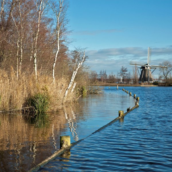 Echt lokaal Noord-Holland
